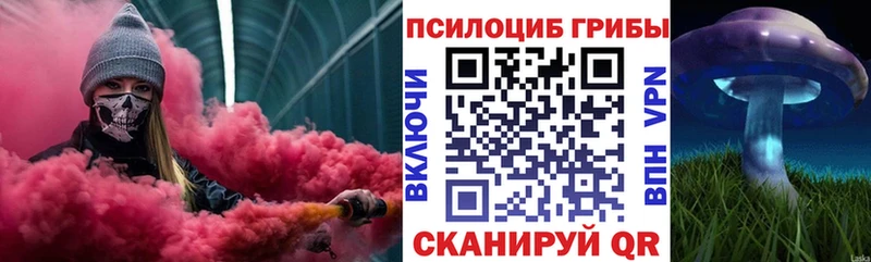 Галлюциногенные грибы Psilocybe  Железногорск 