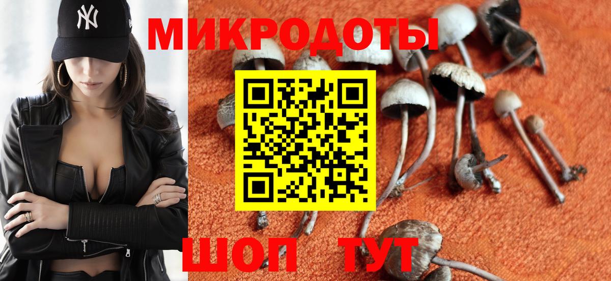 Железногорск  Псилоцибиновые грибы Psilocybine cubensis  Псилоцибиновые грибы мицелий  где купить наркоту  Вход с VPN 