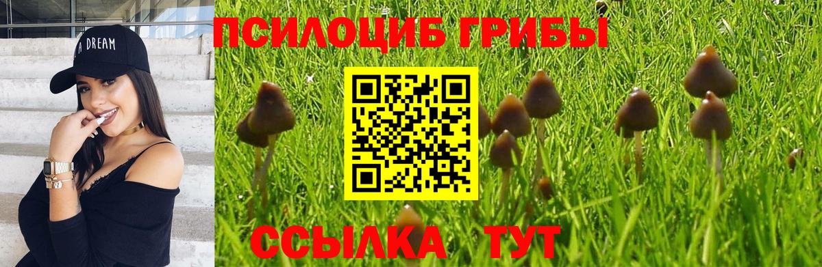 Галлюциногенные грибы ЛСД  Железногорск 